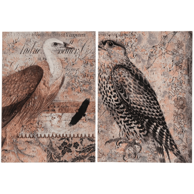 Set of 2 Antique Post Card Birds Wall Art